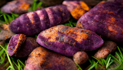 採れたての焼き紫芋